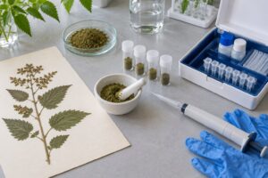 dna barcoding of herbal products explained