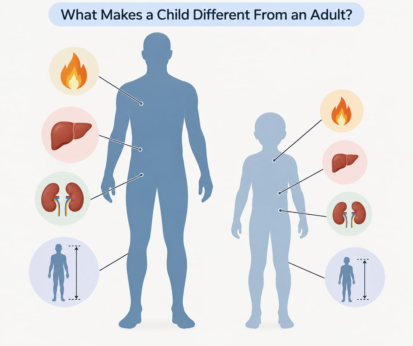 What Makes a Child Different From an Adult?